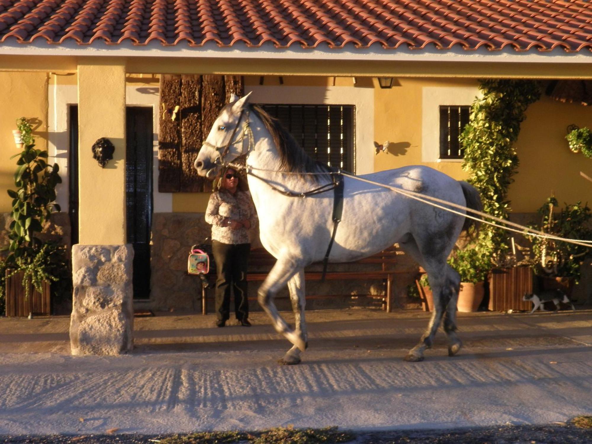La Posada Hipica 로살레호 외부 사진