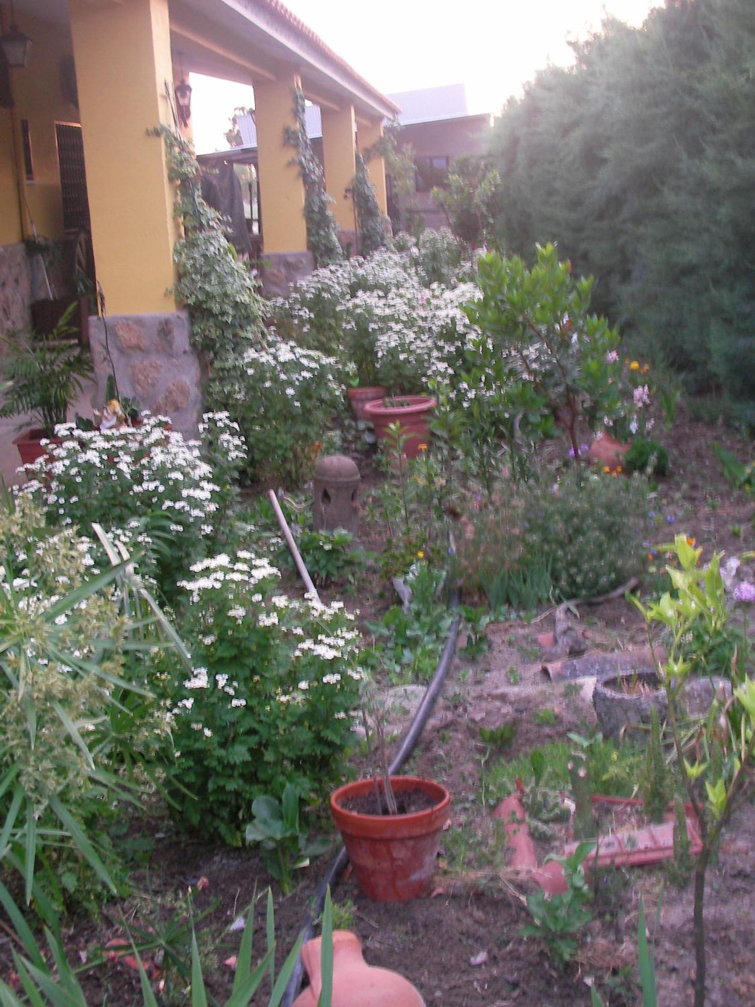 La Posada Hipica 로살레호 외부 사진