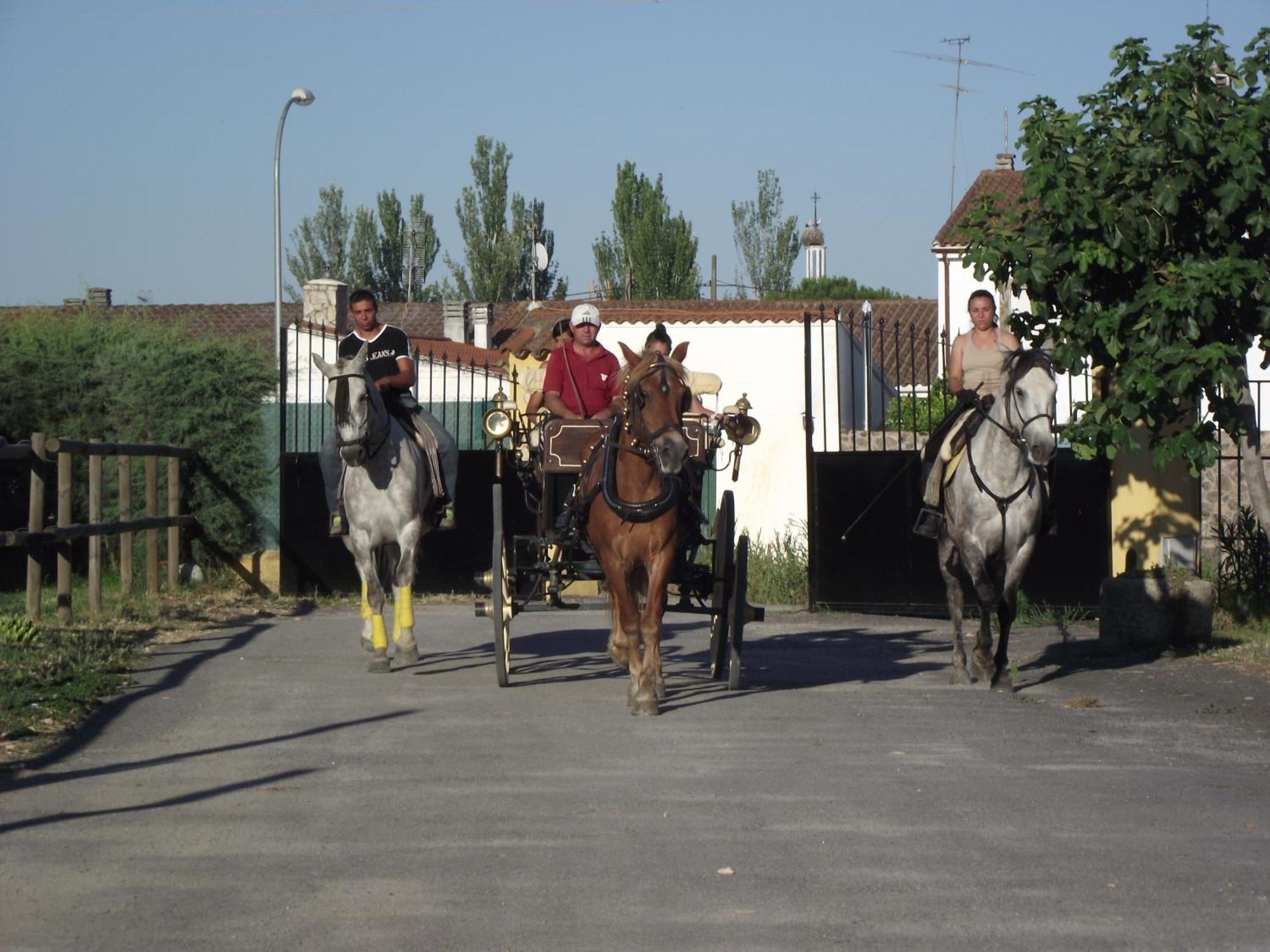 La Posada Hipica 로살레호 외부 사진