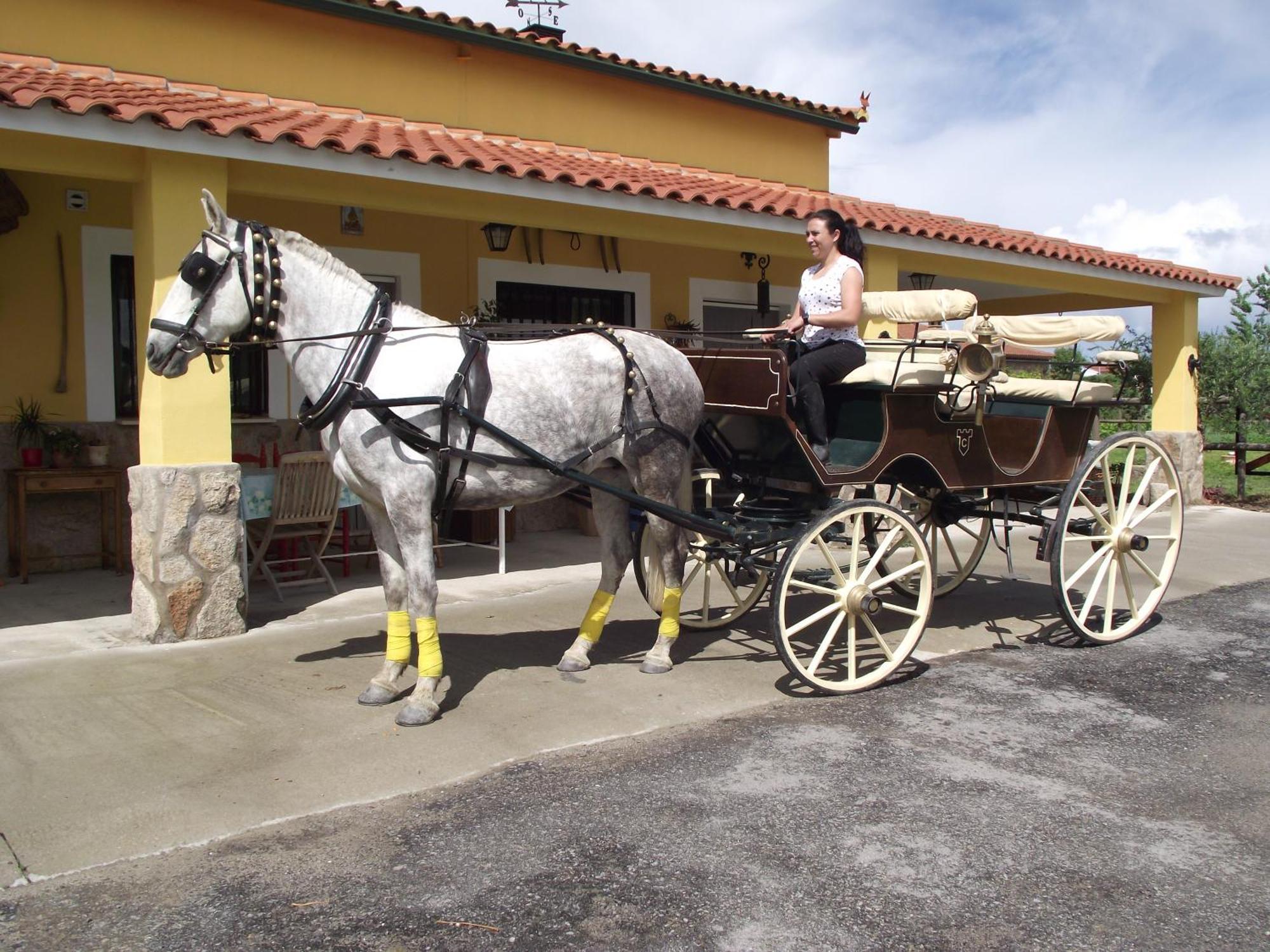 La Posada Hipica 로살레호 외부 사진