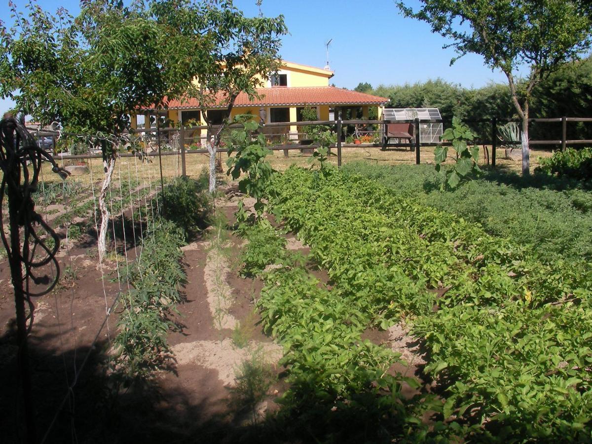 La Posada Hipica 로살레호 외부 사진